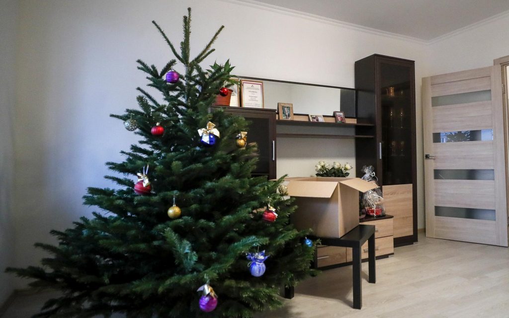 «Яндекс Недвижимость» выяснила планы россиян по хранению новогодних елок :: Жилье :: РБК Недвижимость
